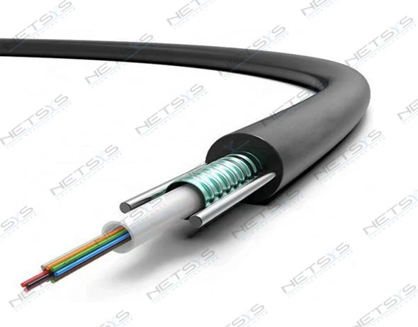 Fiber