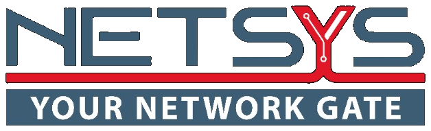 Netsys-us